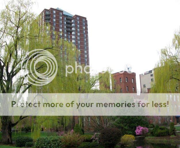 In Your Neighborhood Frog Hollow (round two) Real Hartford